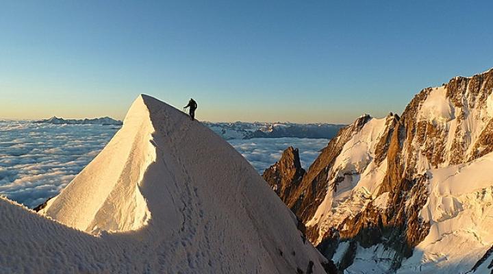 Passage de l'androsace.
