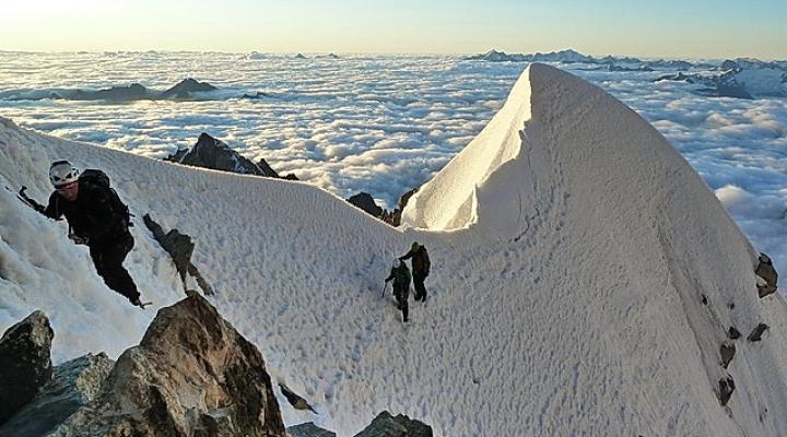 Passage de l'androsace.