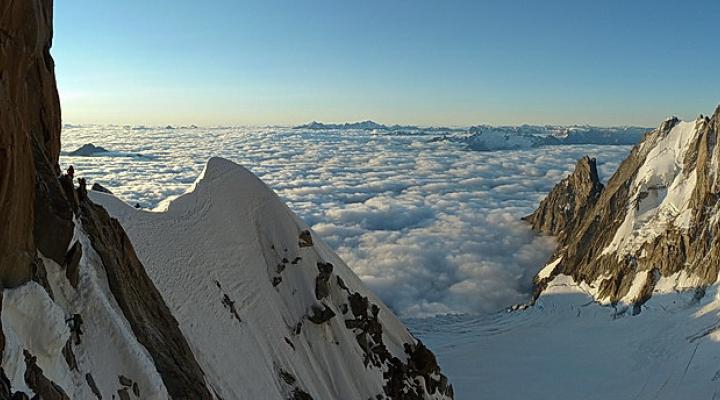 Passage de l'androsace.