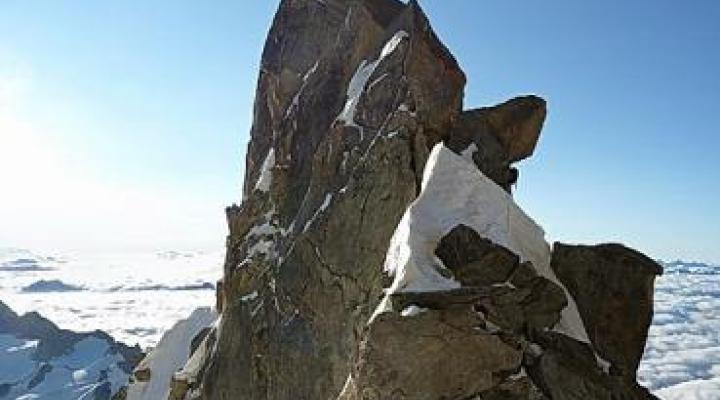 Gendarme de l'Androsace