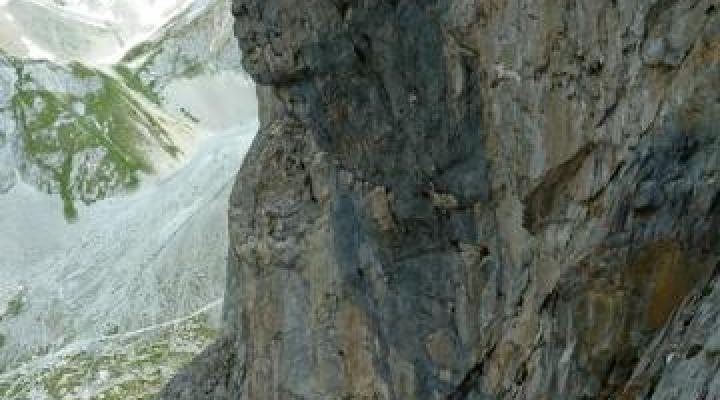 Dans la voie "les joyeux marmottons"