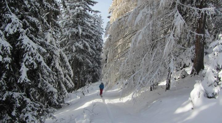 Ski de rando le Clapet - Vanoise
