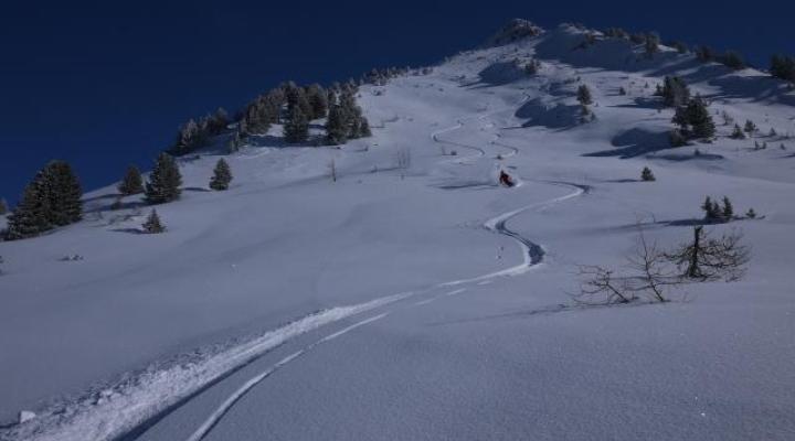 l'envers du saint jacques