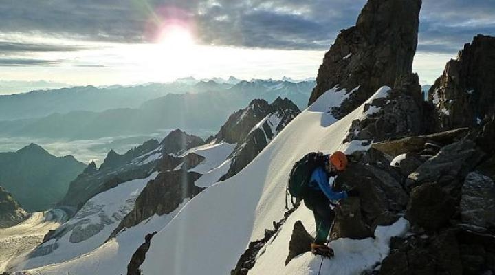 Arête de flèche Rousse