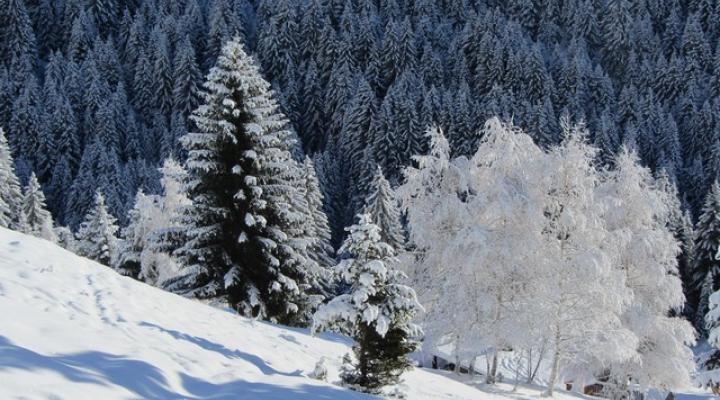 Ski de randonnée dans le Beaufortain
