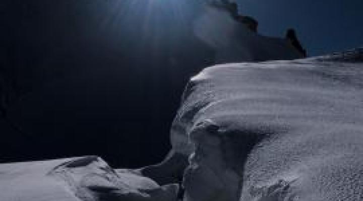 mangera t'elle le soleil??