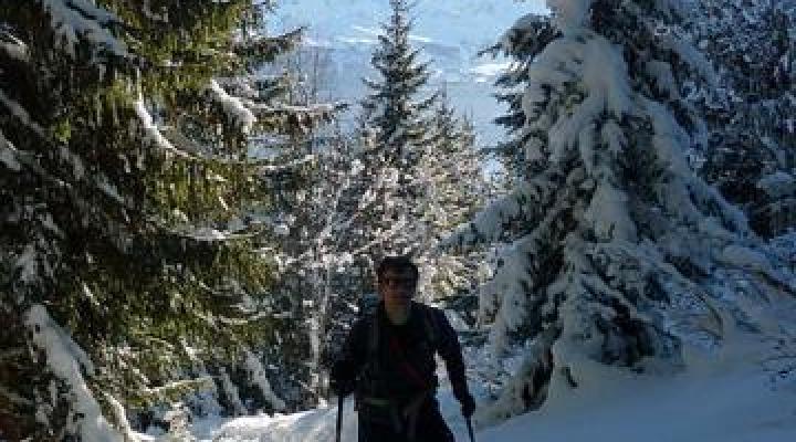 Montée dans la forêt sous le dôme de Vaugel.