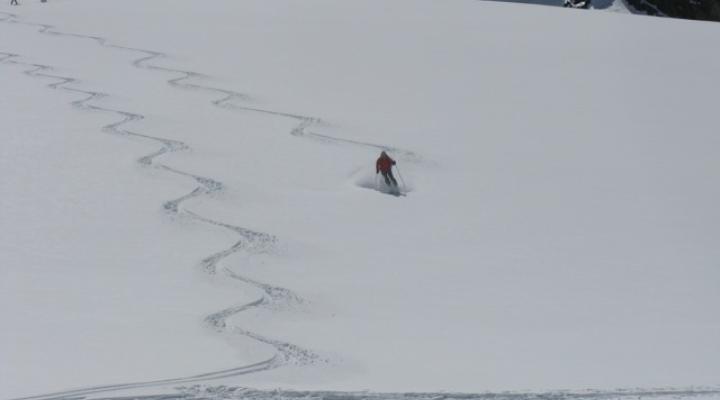 la descente dans une poudreuse de rêve