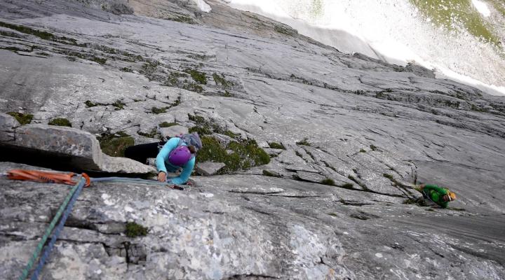écaille éphémère??.. 