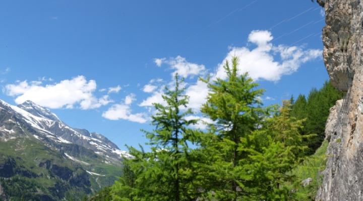 Vu sur le Dôme de la Sache  Escalade en Vanoise