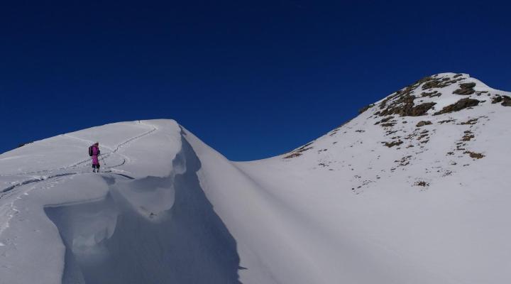 Hors piste La Plagne - montée en ski de rando au Friolin