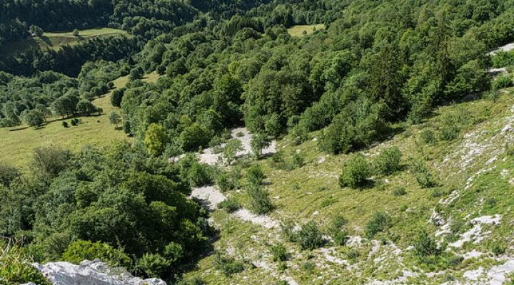 L2 : belle escalade technique