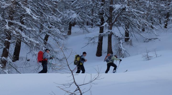 Neige profonde le premier jour