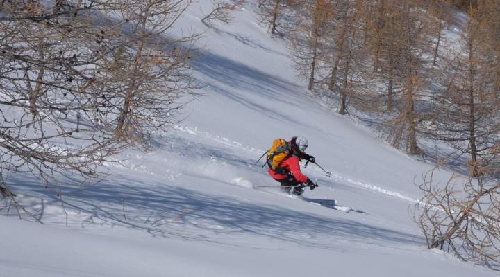 Poudreuse le dernier jour