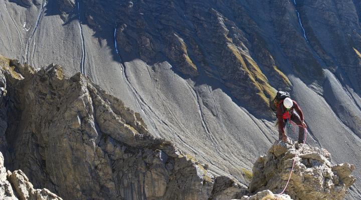 Dans la section facile