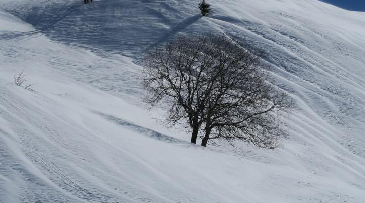 Randonnée à ski à Vaugel