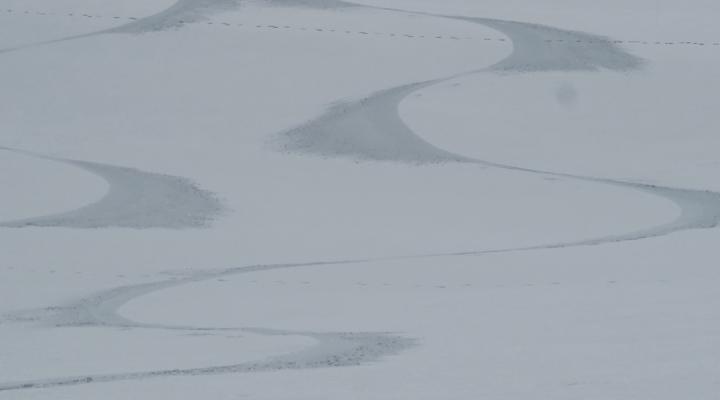 Signature sur du velour