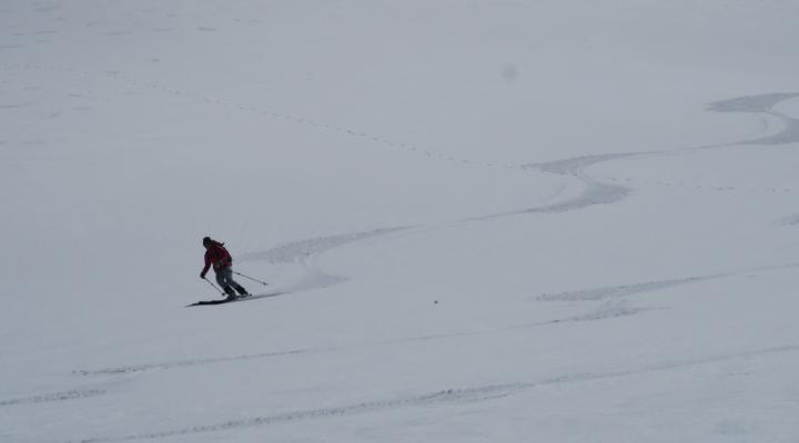 Signature sur du velour