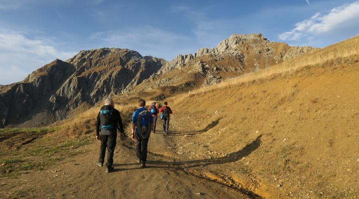 Marche d'approche automnale