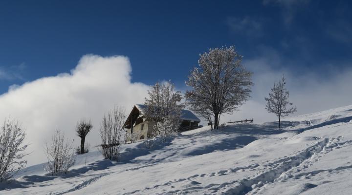 En montant au Dôme de Vaugel