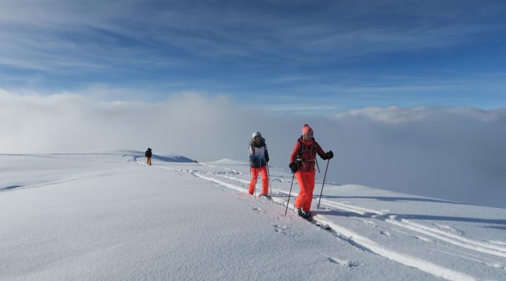 En montant au col du Granier