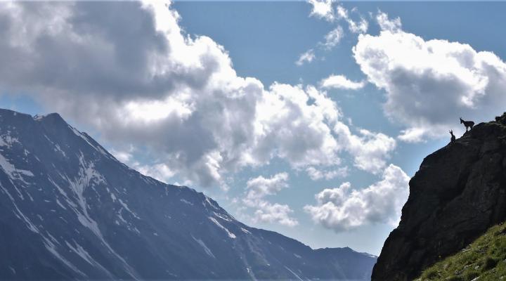 les maitres des lieux