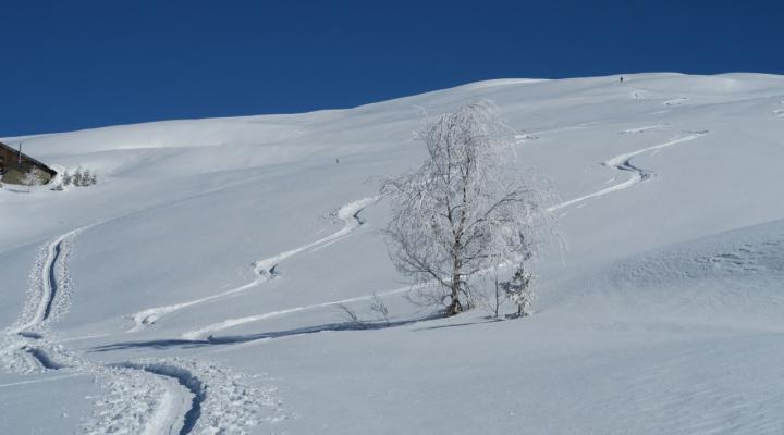 En montant au Dôme de Vaugel