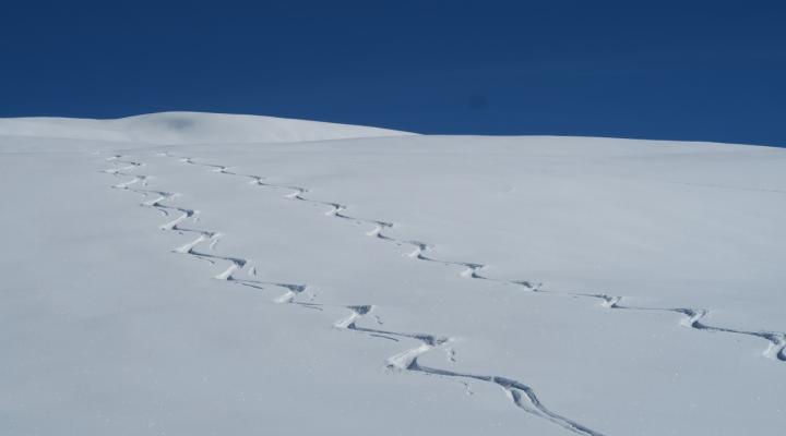 En montant au Dôme de Vaugel