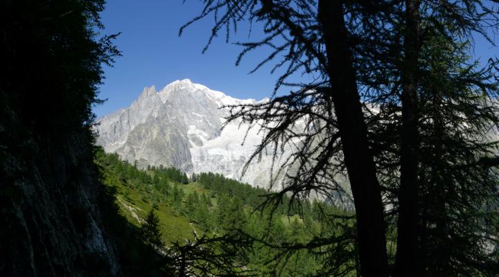 Vue sur le mont Blanc