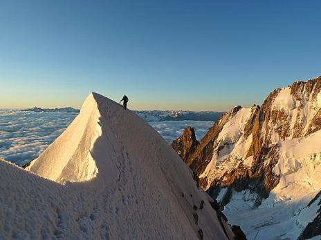 Passage de l'androsace.