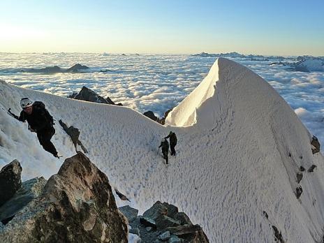 Passage de l'androsace.
