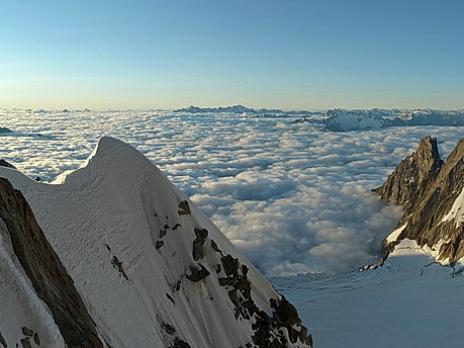 Passage de l'androsace.