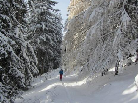 Ski de rando le Clapet - Vanoise