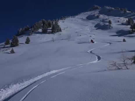 l'envers du saint jacques