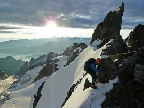 Arête de flèche Rousse