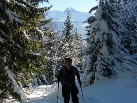 Montée dans la forêt sous le dôme de Vaugel.