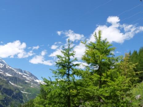 Vu sur le Dôme de la Sache  Escalade en Vanoise