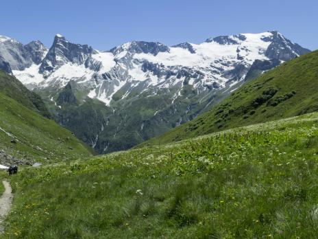 La montée au refuge de Plaisance.