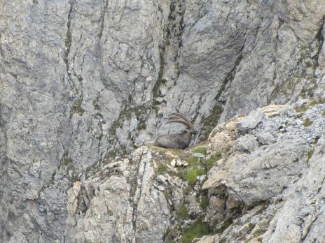 Alpinisme en Vanoise traversée des Rochers de Plassa