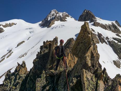 La grande et la petite aiguilles des Glaciers nous regardent...