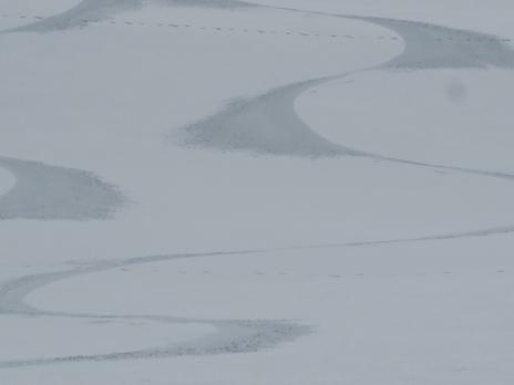 Signature sur du velour