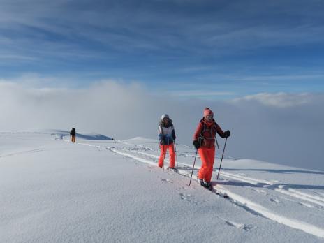 En montant au col du Granier