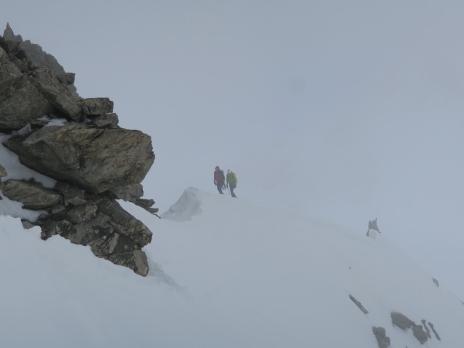 Aiguilles Marbrées