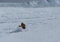 Ski de randonnée en Vanoise - le glacier du Geay