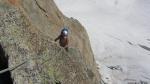 Escalade pointe Adolphe Rey - massif du Mont Blanc