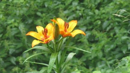 via ferrata les arcs