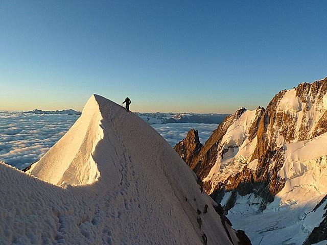 Passage de l'androsace.