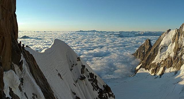 Passage de l'androsace.