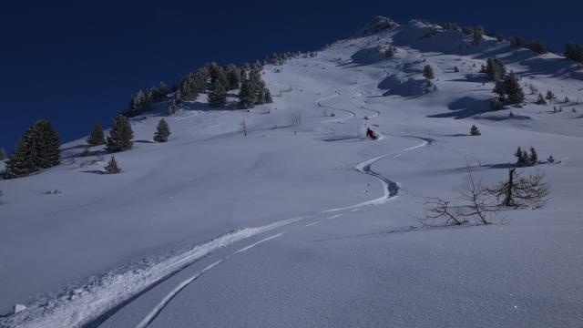 l'envers du saint jacques