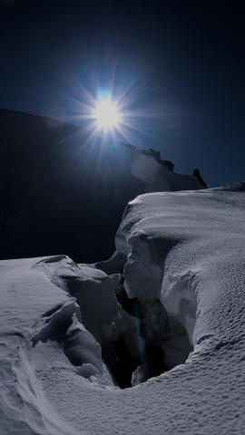 mangera t'elle le soleil??